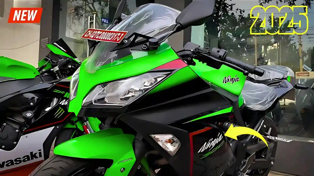 Kawasaki Ninja 300