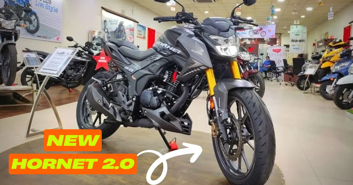 Honda Hornet 2.0